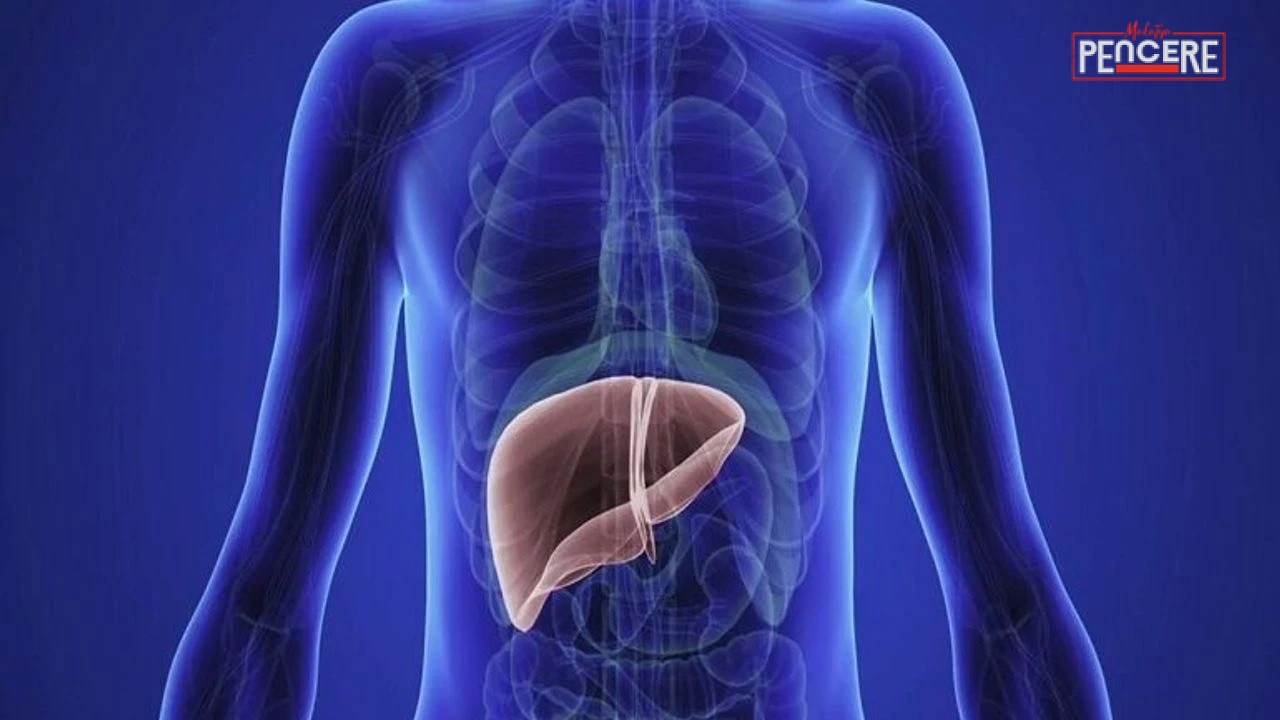 Gastroenteroloji Uzmanı Prof. Dr. Hakan Ünal, “karaciğer detoksu” gibi masum