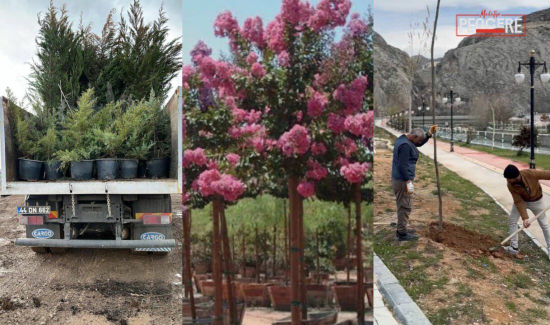 Malatya-Darende ilçesinde park, mezarlık ve sosyal alanlara binlerce fidan dikildi