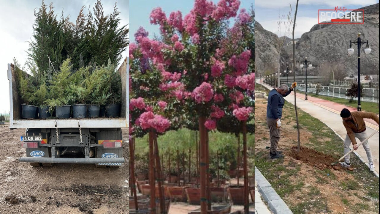 Malatya-Darende ilçesinde park, mezarlık ve sosyal alanlara binlerce fidan dikildi