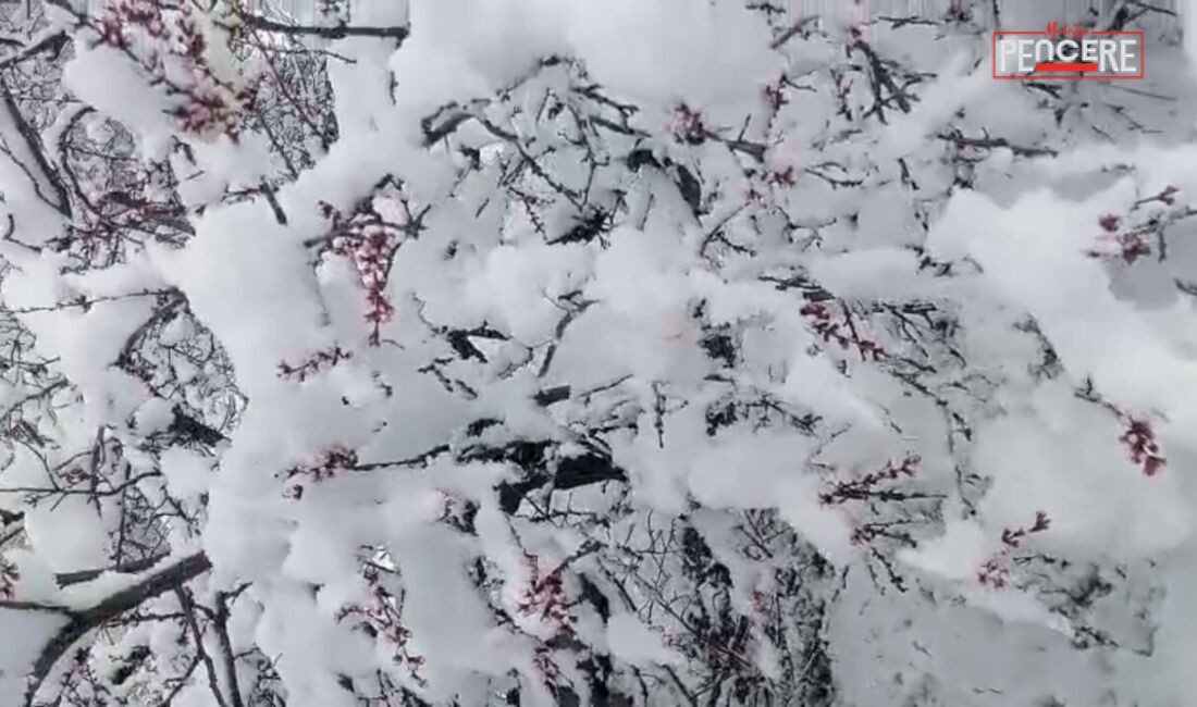 İlkbahar ortasında etkili olan kar yağışı Malatya’nın Darende ilçesinde hayatı