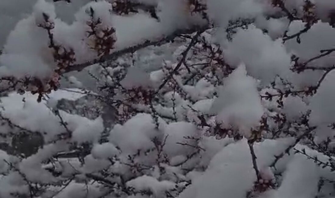 Malatya’nın Doğanşehir ilçesine bağlı Sürgü Mahallesi’nde etkili olan kar yağışı,