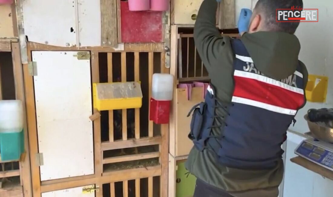 Malatya’da jandarma ekiplerinin Doğanşehir ilçesinde düzenlediği operasyonda, ev ve iş