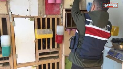 Malatya’da jandarma ekiplerinin Doğanşehir ilçesinde düzenlediği operasyonda, ev ve iş