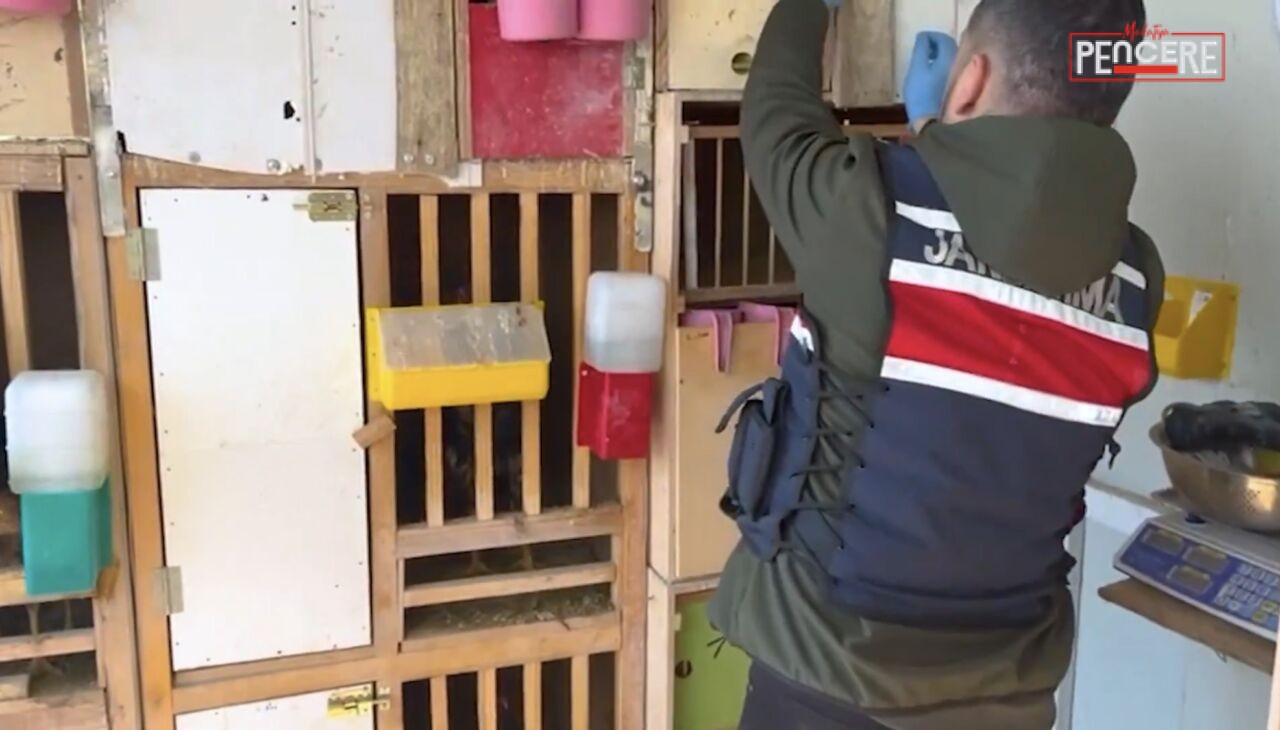 Malatya’da jandarma ekiplerinin Doğanşehir ilçesinde düzenlediği operasyonda, ev ve iş