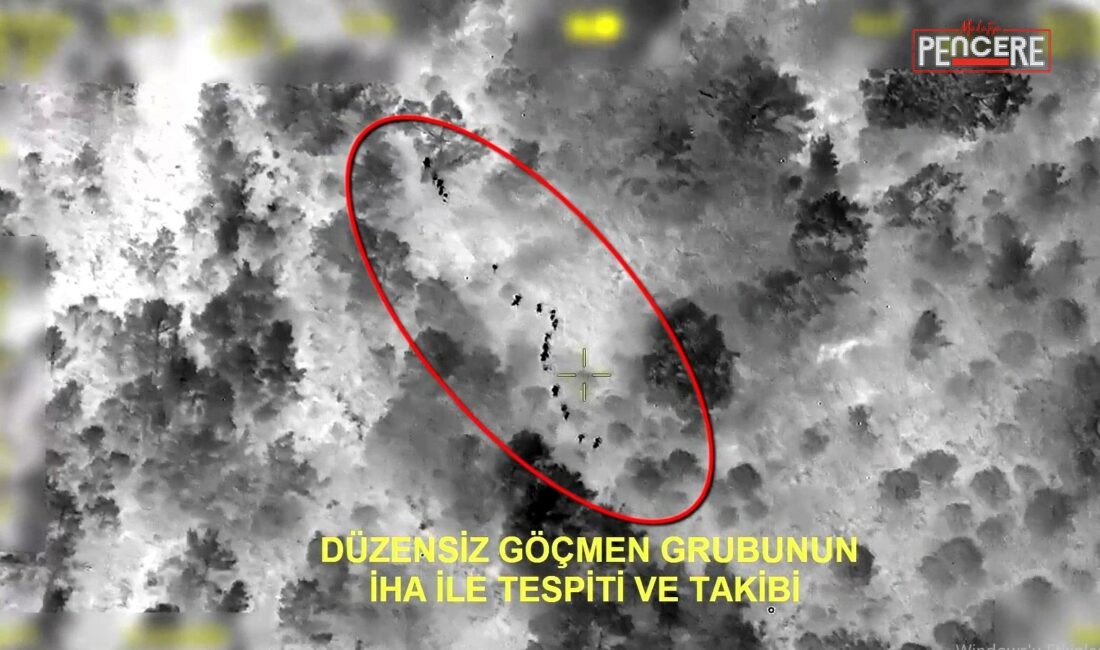 Jandarma Genel Komutanlığı koordinesinde 24 ilde düzenlenen operasyonlarda 132 göçmen
