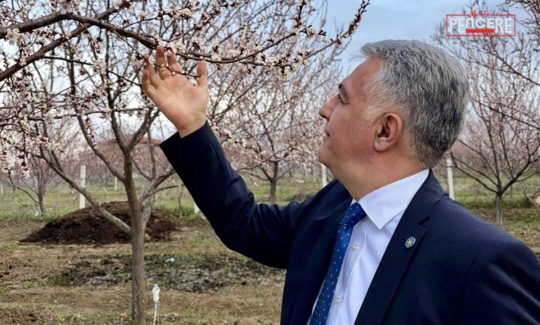 Dolu Afeti Çiftçiyi Vurdu Alper Karakurt, Malatya’da etkili olan dolu yağışının tarımsal üretime büyük