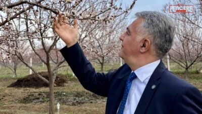 Alper Karakurt, Malatya’da etkili olan dolu yağışının tarımsal üretime büyük