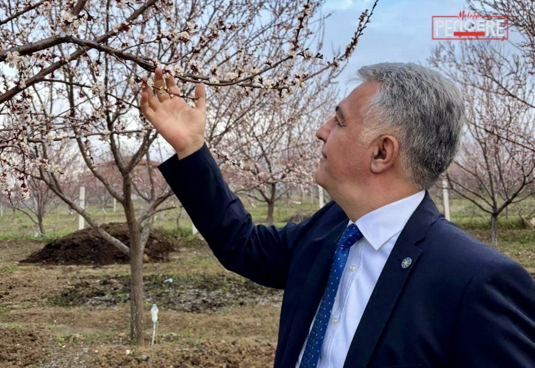 Alper Karakurt, Malatya’da etkili olan dolu yağışının tarımsal üretime büyük