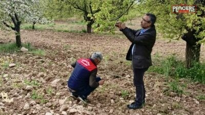 Malatya’da etkili olan dolu yağışının ardından tarım alanlarında hasar tespit