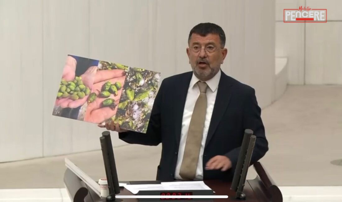 CHP Malatya Milletvekili Veli Ağbaba, dolu ve don felaketlerinin ardından
