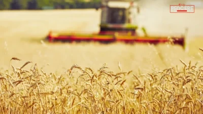 Ticaret Bakanlığı, tarımsal üretimde arz güvenliğini sağlamak ve fiyat dalgalanmalarını