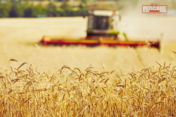 Ticaret Bakanlığı, tarımsal üretimde arz güvenliğini sağlamak ve fiyat dalgalanmalarını