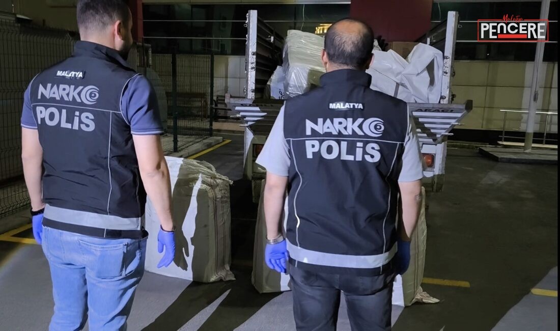 Malatya’da daha önce 83 bin 380 sentetik ecza hapın ele