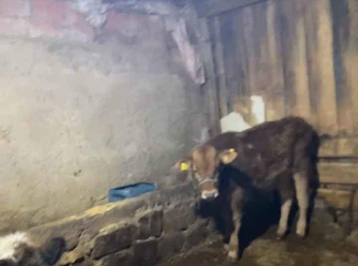 Malatya’da son günlerde artış gösterdiği iddia edilen hırsızlık olaylarına bir