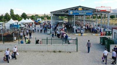 Malatya’nın Battalgazi ilçesinde Kurban Bayramı öncesi tüm hazırlıklar tamamlandı. Battalgazi