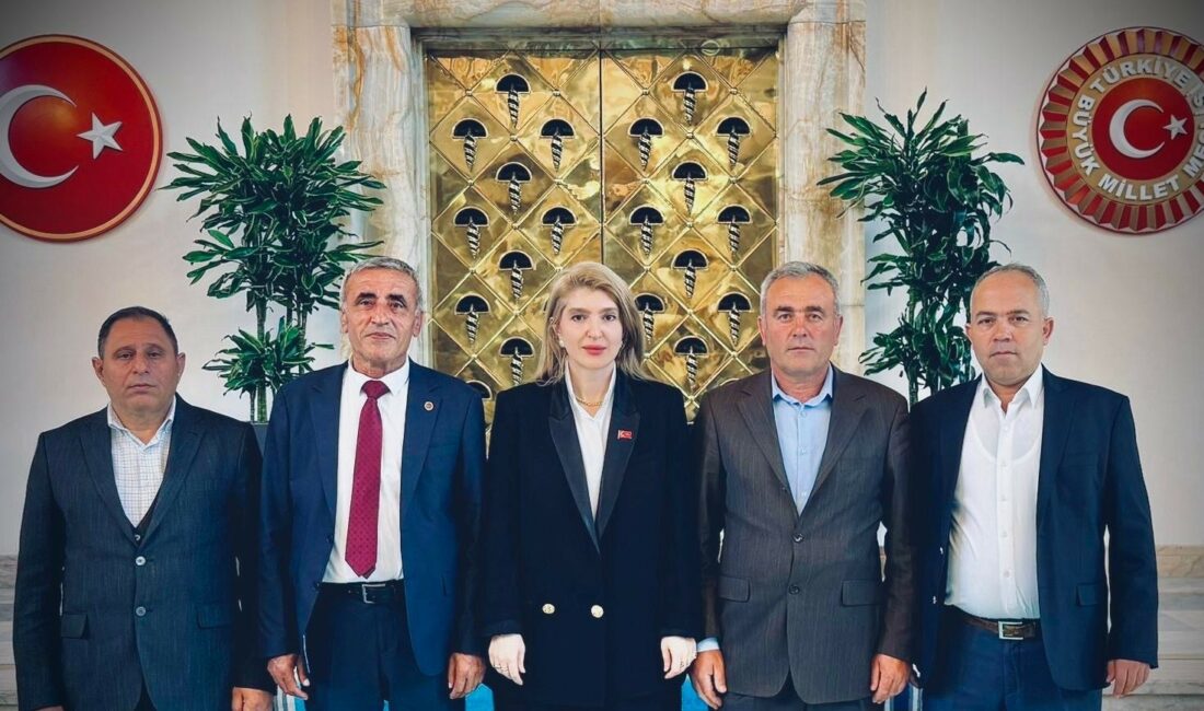 AK Parti Malatya Milletvekili İnanç Siraç Kara Ölmeztoprak, Türkiye Büyük