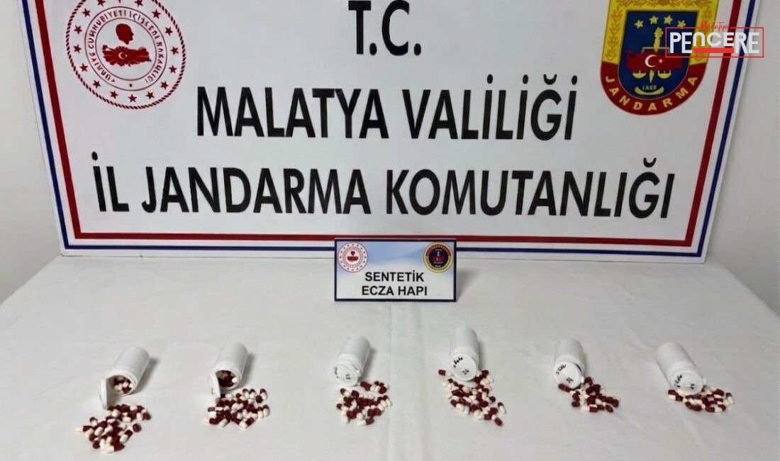 Malatya’da jandarma ekiplerince düzenlenen narkotik operasyonunda 319 adet sentetik ecza