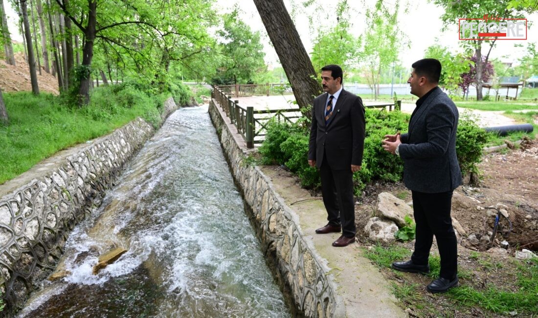 Battalgazi Belediyesi tarafından hayata geçirilen Çarşıbaşı Rekreasyon Alanı Projesi’nde çalışmalar