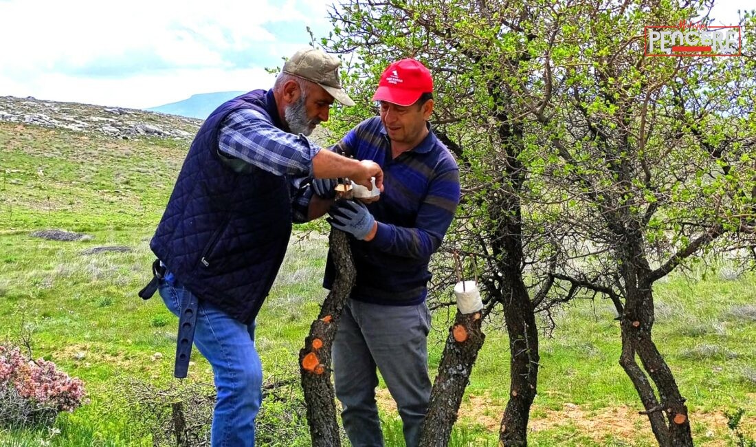 Malatya’nın Ilıca Mahallesi’nde gönüllü vatandaşlar tarafından başlatılan çalışma kapsamında doğada