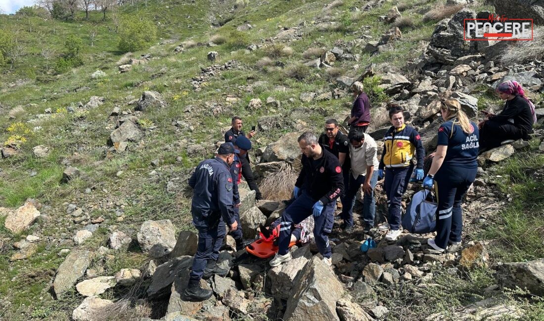 Malatya’nın Pütürge ilçesinde keçilerini otlatırken kayalıklardan düşen 80 yaşındaki kadın,