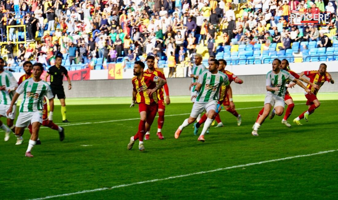 Türkiye Futbol Federasyonu Profesyonel Futbol Disiplin Kurulu, Play-Off finalinde yaşanan