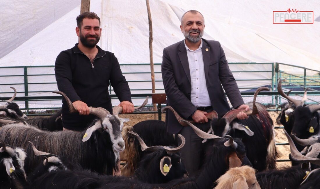 Malatya Damızlık Koyun ve Keçi Yetiştiricileri Birliği Başkanı İhsan Akın,
