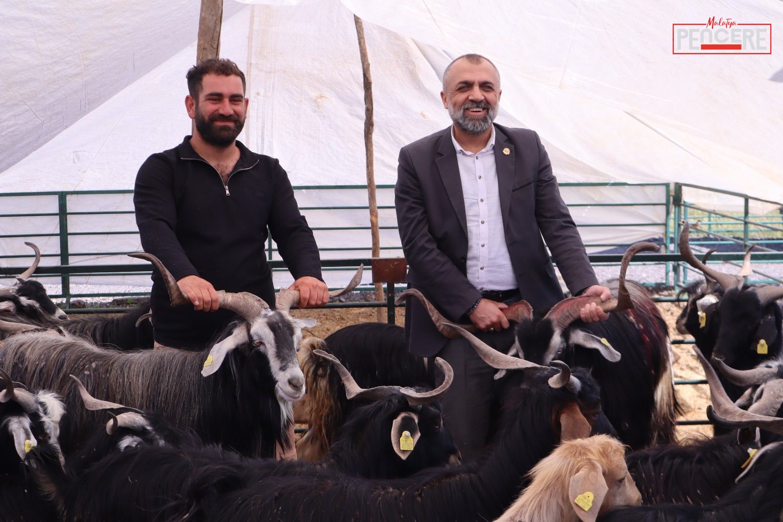 Malatya Damızlık Koyun ve Keçi Yetiştiricileri Birliği Başkanı İhsan Akın,