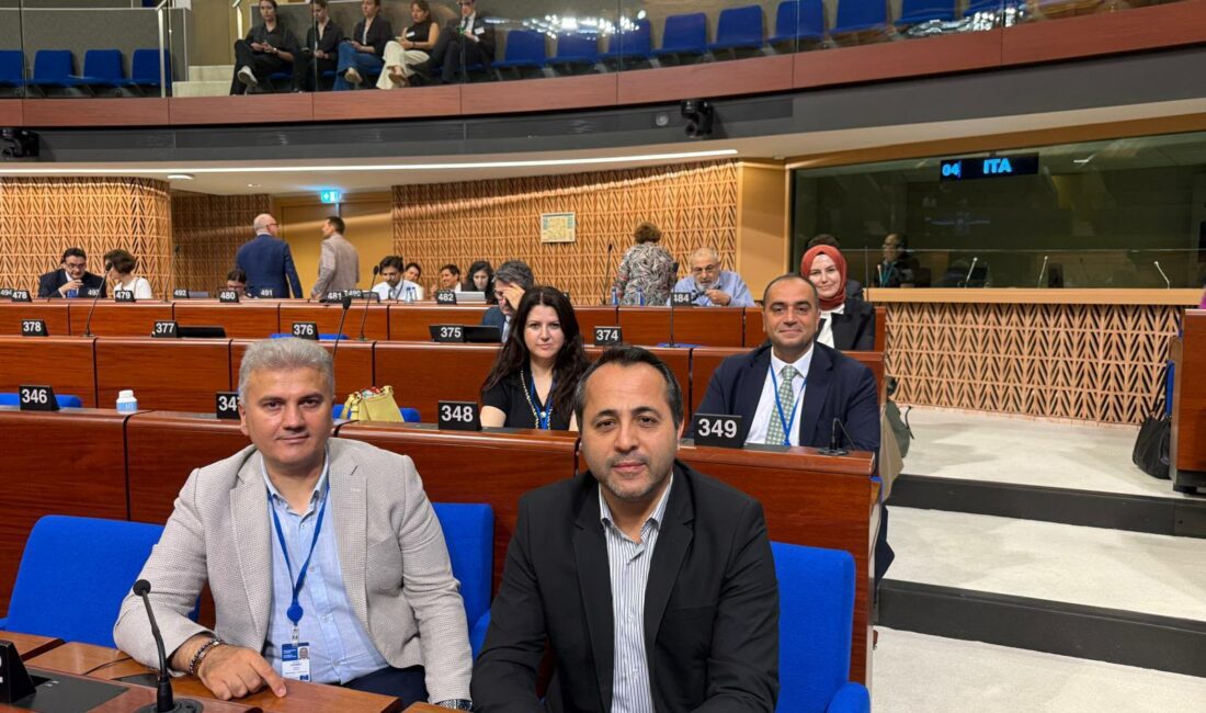AK Parti Malatya Milletvekili Abdurrahman Babacan, Avrupa Konseyi Genel Kurulu