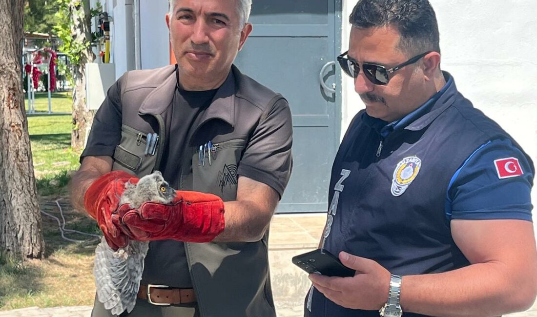 Battalgazi Belediyesi Zabıta Müdürlüğü ekipleri, Kırkgöz Sahil Parkı’nda gerçekleştirdikleri denetim