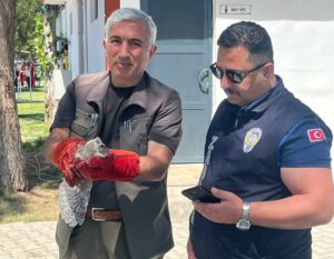 Battalgazi Belediyesi Zabıta Müdürlüğü ekipleri, Kırkgöz Sahil Parkı’nda gerçekleştirdikleri denetim
