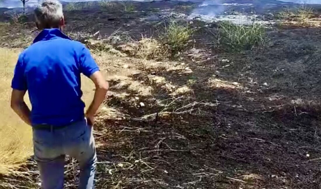 Darende Gökyar Mahallesi'nde çıkan arazi yangını itfaiye ekiplerinin müdahalesiyle kontrol