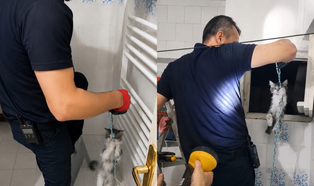 Mahsur Kalan Yavru Kedi Kurtarıldı Malatya’nın Battalgazi ilçesinde apartman havalandırma boşluğuna düşen yavru kedi, vatandaşların