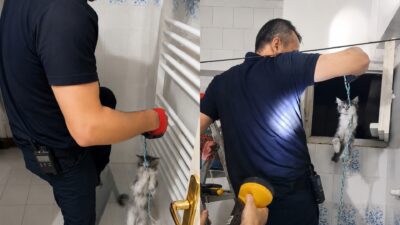 Malatya’nın Battalgazi ilçesinde apartman havalandırma boşluğuna düşen yavru kedi, vatandaşların