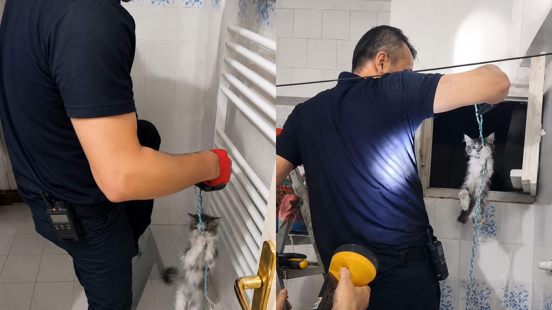 Malatya’nın Battalgazi ilçesinde apartman havalandırma boşluğuna düşen yavru kedi, vatandaşların