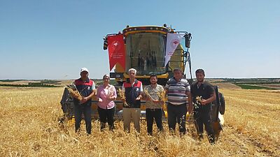Malatya’da Nohut Hasadı Heyecanı: 500 Ton Rezkilik Rekor Büyüme Hedefleniyor!
