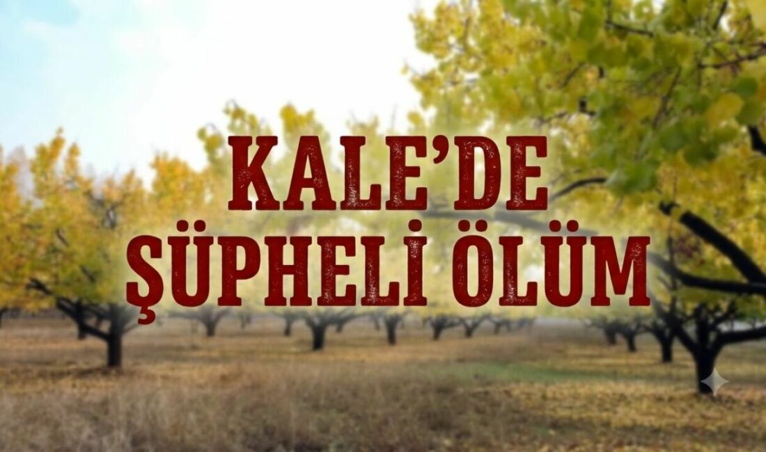 Malatya’nın Kale ilçesi Salkımlı Mahallesi’nde sabah saatlerinde bahçesine giden Kazım