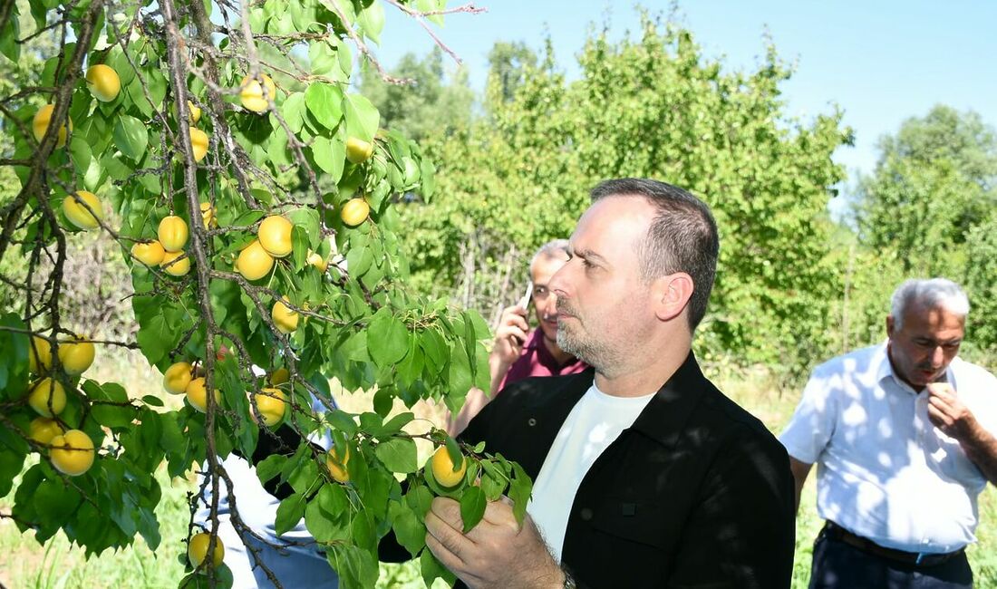 MAGİNDER Başkanı Karademir’den Kayısı için Fiyat Çağrısı Malatya Girişimci İş İnsanları Derneği (MAGİNDER) Başkanı Salih Karademir, Kemerköprü