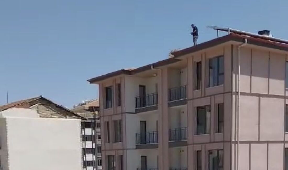 Malatya’nın Battalgazi ilçesinde yapımı tamamlanan TOKİ konutlarında hareketli saatler yaşandı.