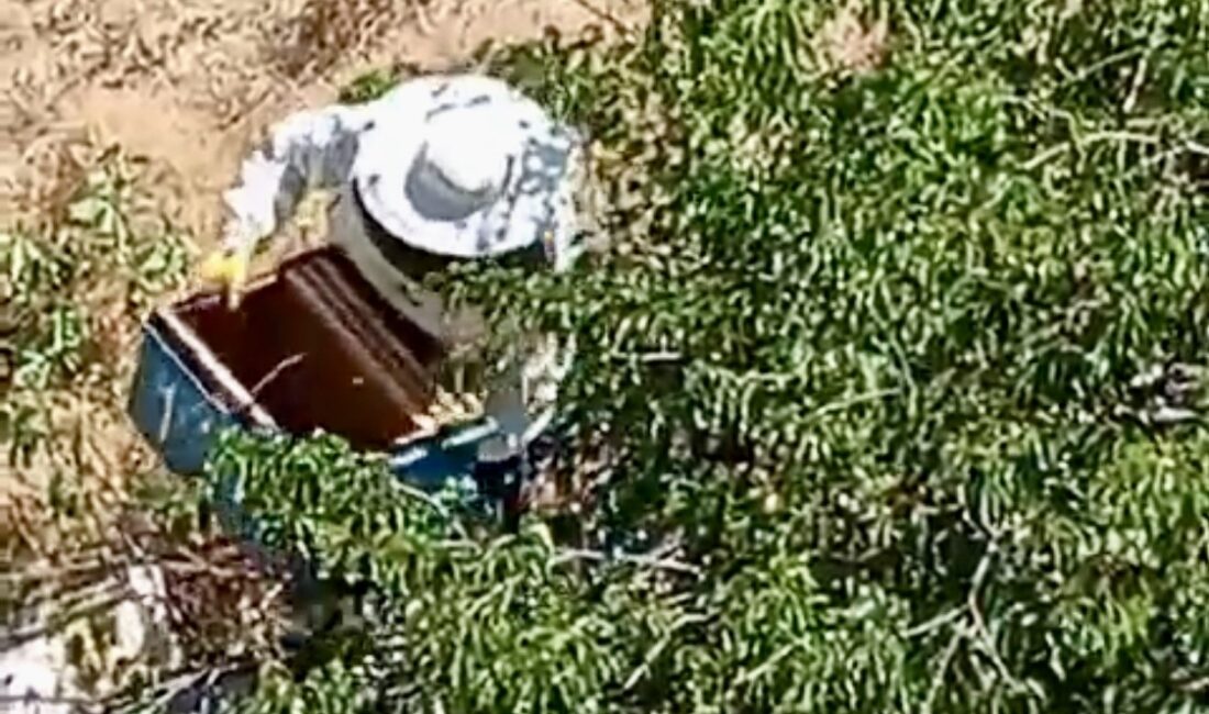 Battalgazi’de İnşaat Alanında Ortaya Çıkan Arı Sürüsü Paniğe Neden Oldu Malatya’nın Battalgazi ilçesinde yapımı devam eden bir inşaatta aniden ortaya