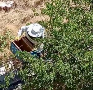 Malatya’nın Battalgazi ilçesinde yapımı devam eden bir inşaatta aniden ortaya