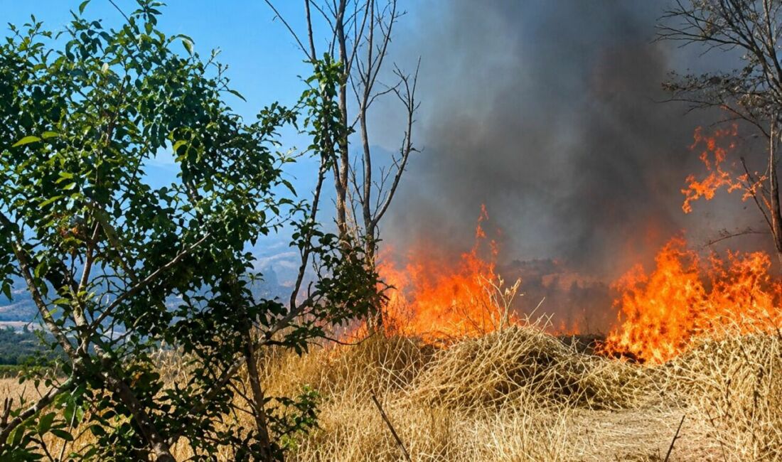 Malatya Valiliği, hasat sezonunda anız yakmanın çevre, tarım arazileri ve