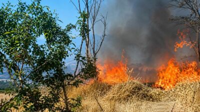 Malatya Valiliği, hasat sezonunda anız yakmanın çevre, tarım arazileri ve