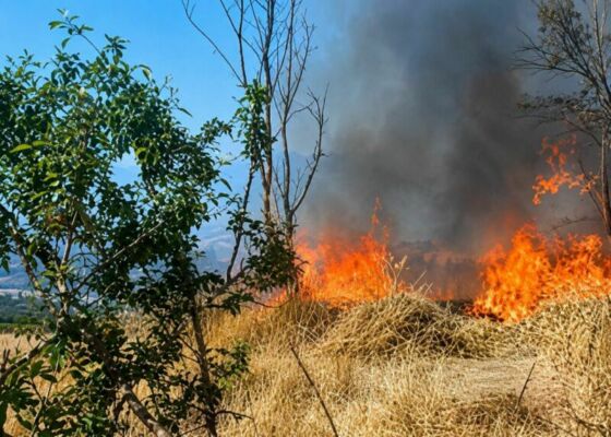 Malatya Valiliği, hasat sezonunda anız yakmanın çevre, tarım arazileri ve