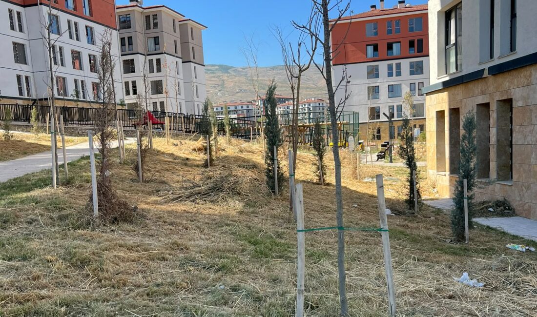 Malatya'nın Battalgazi ilçesinde, deprem konutları kapsamında inşa edilen ve yaklaşık
