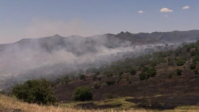 Malatya genelinde bugün hareketli saatler yaşandı. Kentin 5 farklı ilçesinde