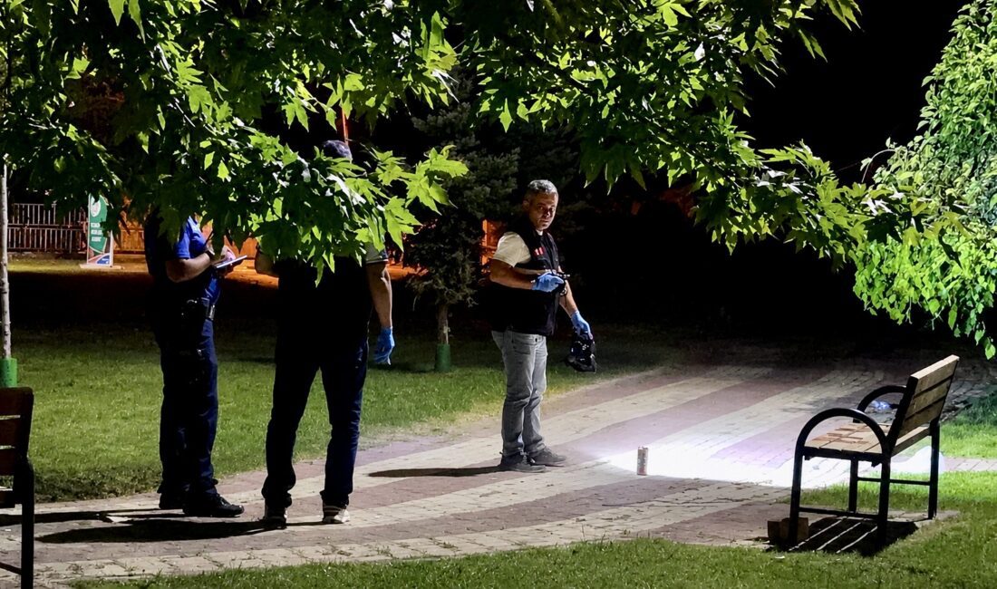 Malatya'nın Yeşilyurt ilçesindeki Bölge Parkı'nda çıkan bıçaklı kavgada 2 genç