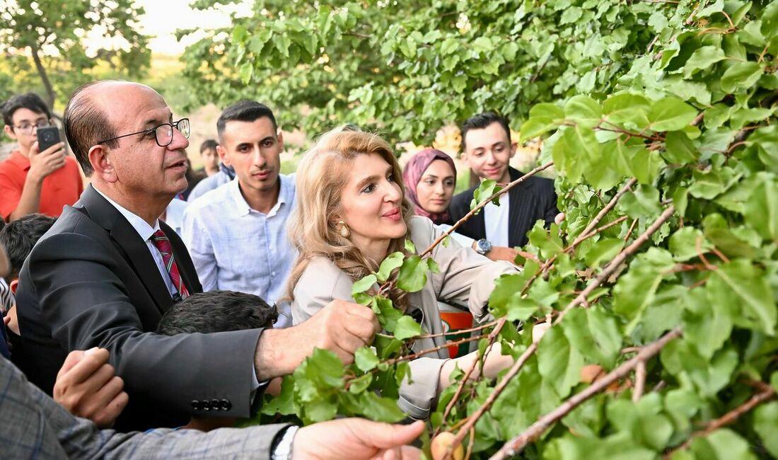 Yeşilyurt’ta “Tarladan Geleceğe” projesi başladı Yeşilyurt Belediyesi, Yeşilyurt Kent Konseyi ve TOBB Malatya Genç Girişimciler