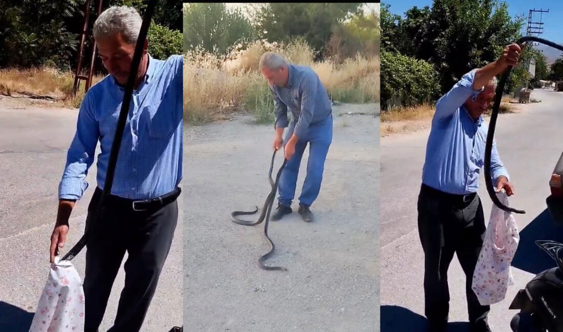 Malatya'nın Yeşilyurt ilçesinde "Yılan Savar Muhtar" olarak tanınan Ali Berktaş,
