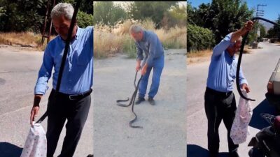 Malatya'nın Yeşilyurt ilçesinde "Yılan Savar Muhtar" olarak tanınan Ali Berktaş,