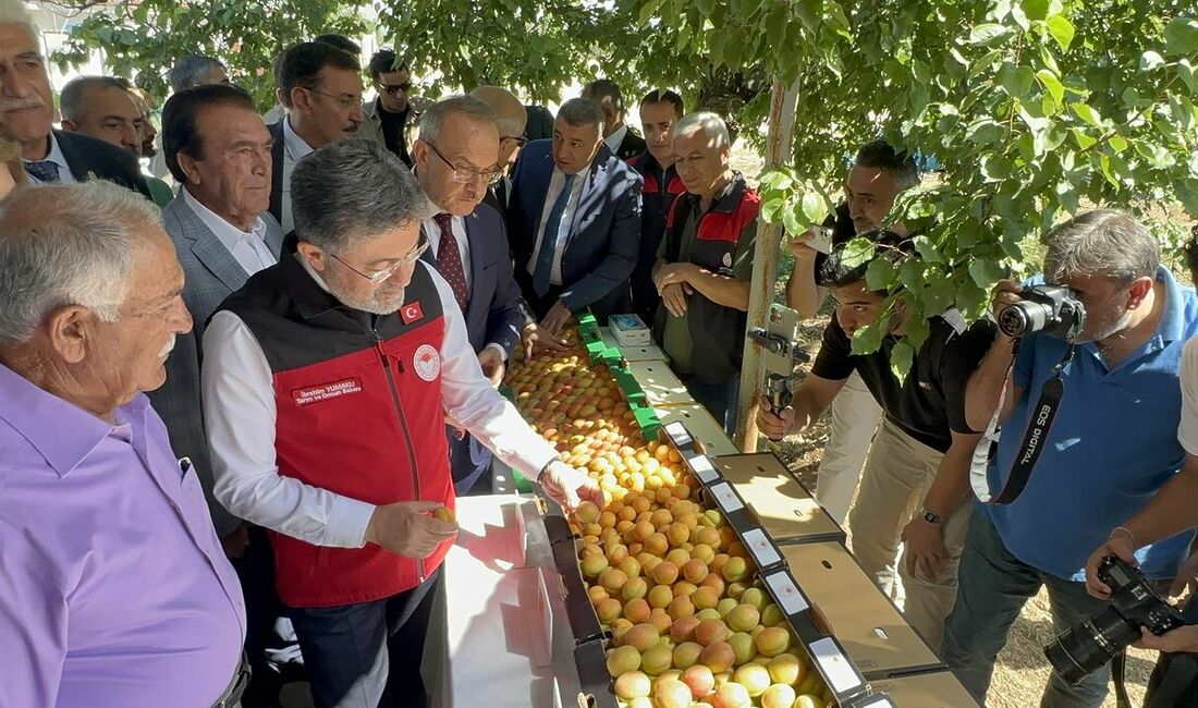 Tarım ve Orman Bakanı İbrahim Yumaklı, zirai don felaketinin ardından